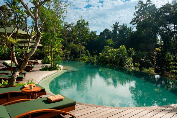 «Что-то на богатом»: как выглядят лучшие отели года по мнению туристов