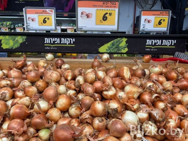 Сравнили цены на продукты в магазинах Беларуси и Израиля. И вот что получилось